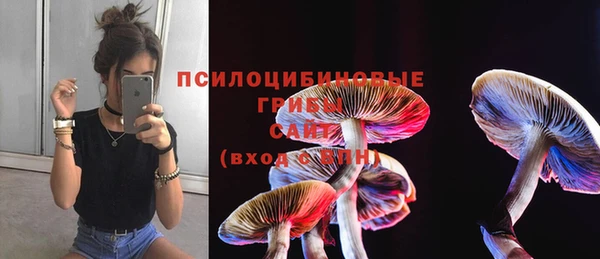 марки nbome Алексеевка