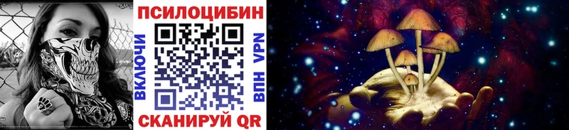Псилоцибиновые грибы Psilocybe Ухта